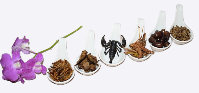 34-year-old Singaporean Has Been Eating Insects Since 2015, Prefers Them Over Snacks Like Chips