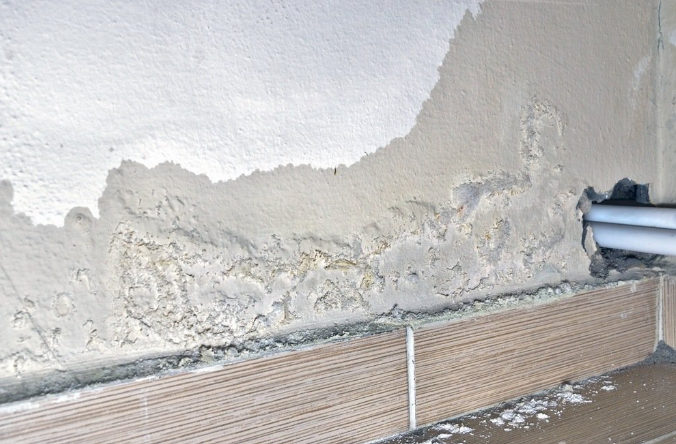 Resident Complains of Worsening Water Leaks and Mold Despite Renovation in 2020