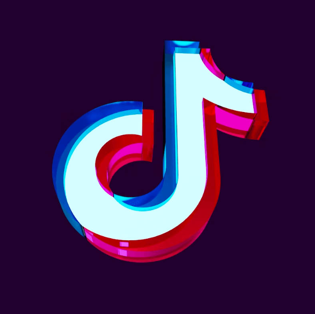 “””We Earn What We Deserve””: TikTok Influencers Defend Their Earnings Amid Misconceptions “