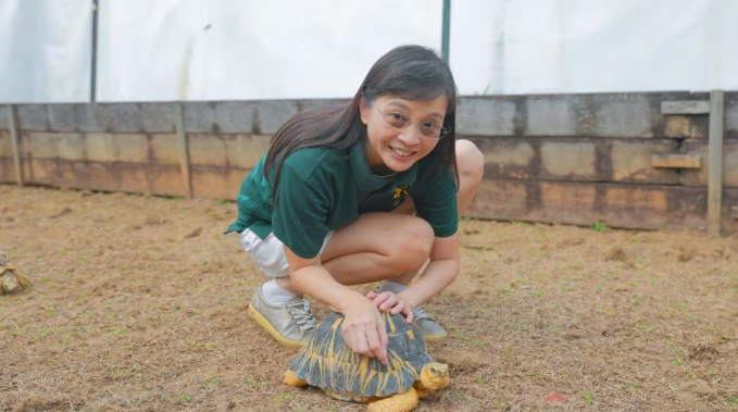 “””Help Us Keep the Turtle Museum Alive,”” Founder Appeals for Support Amid Financial Struggles  “