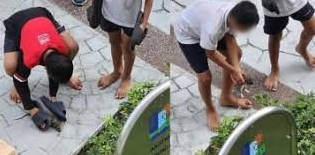 “Children Playing with Rat at Bedok Playground Raises Health and Safety Concerns “