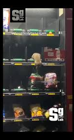 Rodent Caught Inside Bread Vending Machine Sparks Food Safety Concerns